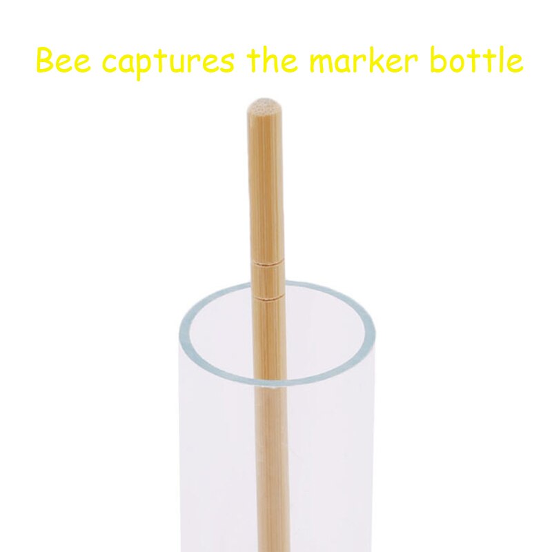 Plastic Bee Marks Beekeeping Bee Tools Marked Bottle Tools Bee Queen Cage Insect Supplies Bee Equipment