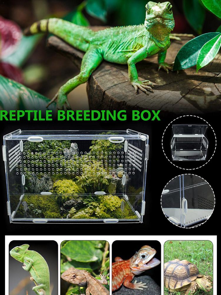 Reptile Breeding Box Transparent Acrylic Feeding Box Clamshell Opening For Spider Lizard Frog Cricket Turtle (No Landscaping)