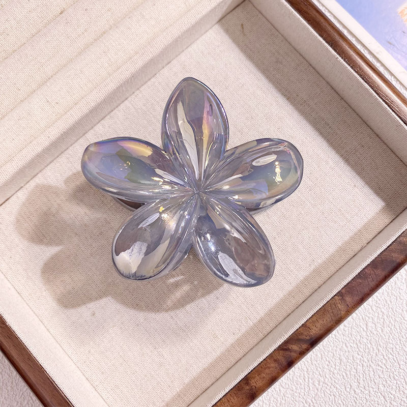 1/6 pièces coloré Transparent fleur 8CM pinces à cheveux pince épingle à cheveux Barrette épais mince cheveux accessoires pour les femmes: Argent