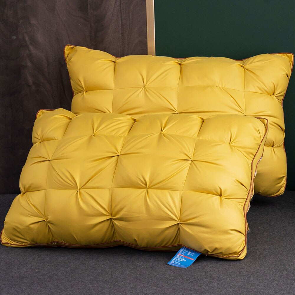 Coussin de sieste confortable à haute résilience, à fleurs tordues, pour la maison, l'hôtel, le bureau, pour étudiants, bon sommeil, soulage les muscles: Ginger / 48x74cmx2pcs