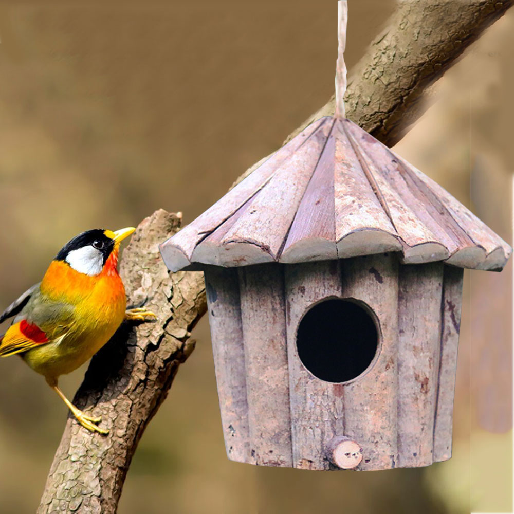 Maison des oiseaux en bois avec des colibris à sus – Grandado