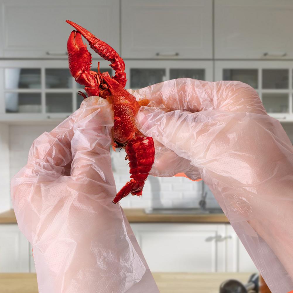 100PCS Plastic Clear Disposable Gloves Garden Restaurant Home Children Gloves Children's Disposable Gloves