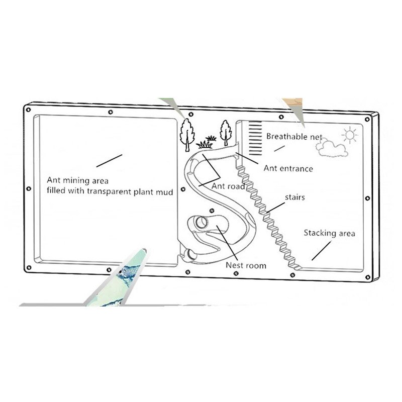 natural non-toxic children plant mud large space easy to see ant house ant nest farm