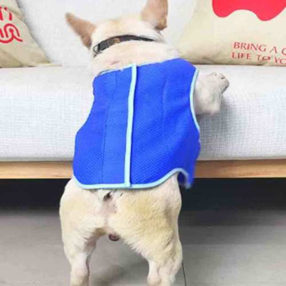Perro de verano chaleco de refrigeración transpirable de abrigo azul chaleco camiseta ropa refrescante genial ropa para perros ropa para mascotas