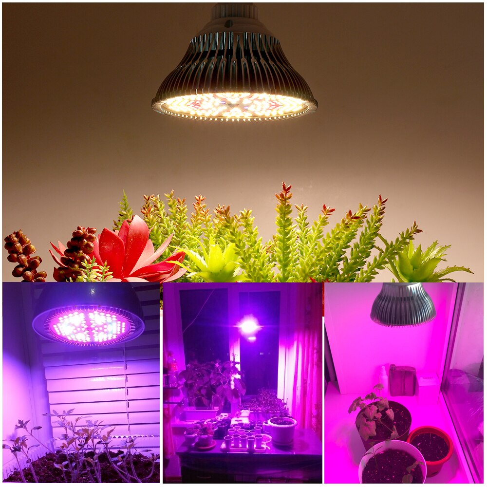 Phyto-lampe LED pour culture hydroponique de légumes, E27, 250W, éclairage à spectre complet pour plantes à floraison, SMD2835