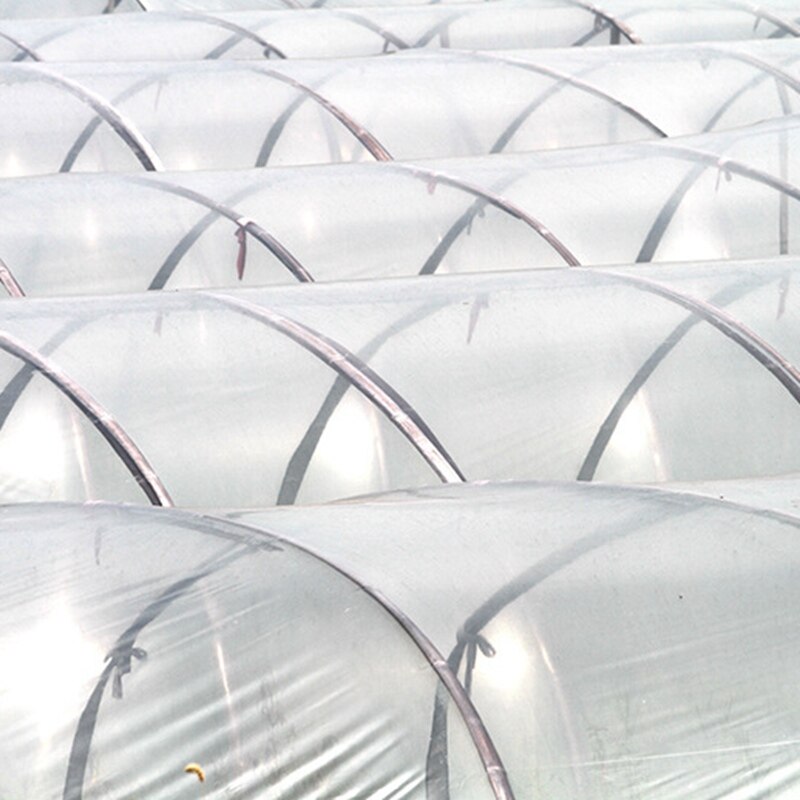 Película transparente para invernadero de verduras, cubierta de plástico para cultivo agrícola, protección Anti-UV para jardín, 0,1mm de espesor