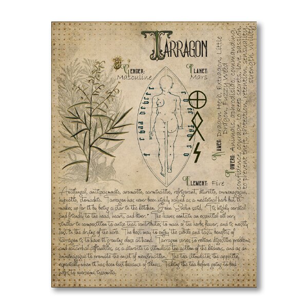 Book of Shadows Poster Pages of Herbs Prints Witchcraft Herbal Grimoire BOS Sheets Magic Painting Herbarium Decoration: Coffee / 21x30cm No Frame