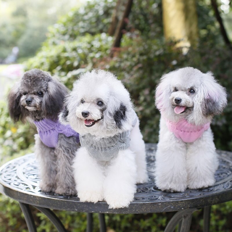 Warm Dog Sweater Cloth Winter Pet Knitted Clothes For Small Medium Dogs Chihuahua Yorkshire Outfits With Stereoscopic Pattern