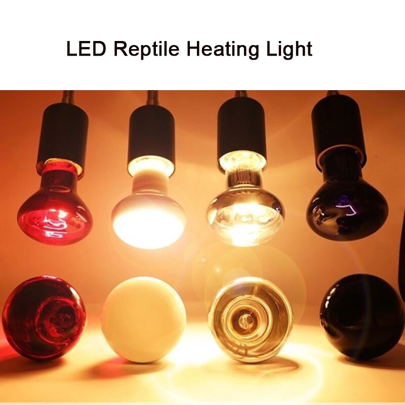 Lámpara calefactora para reptiles, luz roja cálida de noche, aislamiento térmico para lagartos, tortugas, iluminación de animales