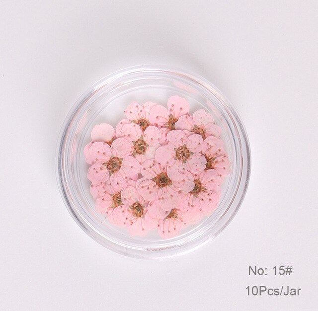 10 st  /1 box äkta nagelblommor gör-det-själv naturliga torkade blommor naglar konst dekoration torr flowe manikyr tillbehör blomdekaler: 15