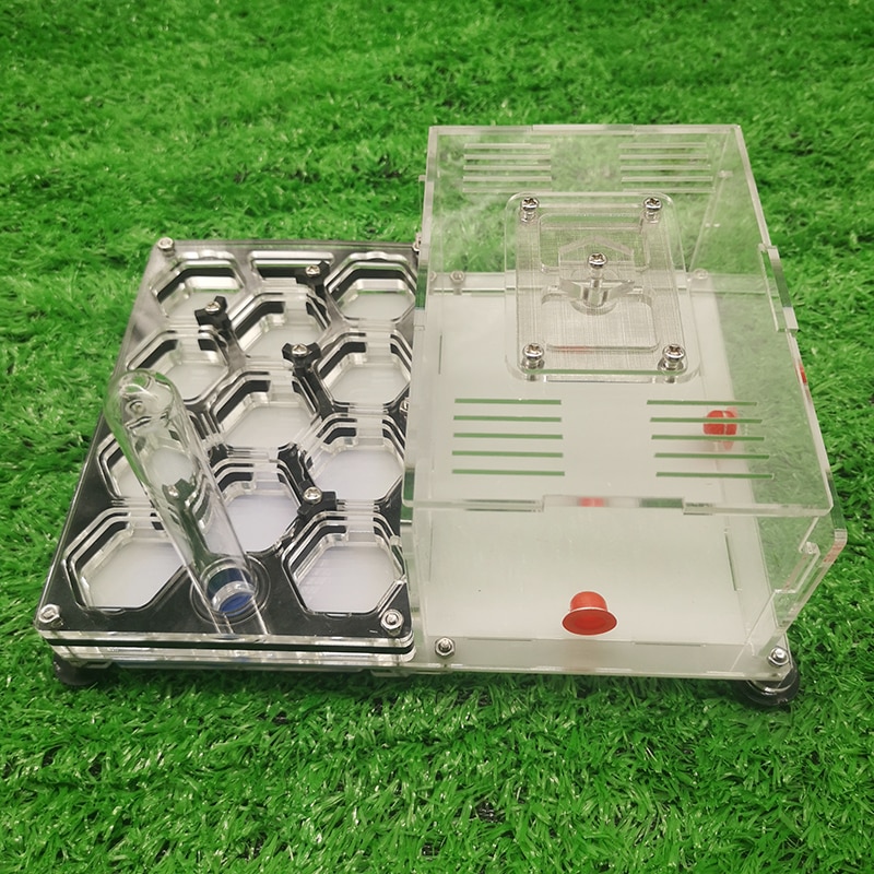 Czarne gniazdo mrówek mrówka o strukturze plastra miodu mrówka akrylowa mrówka mrówka mrówki mrówki mrówki