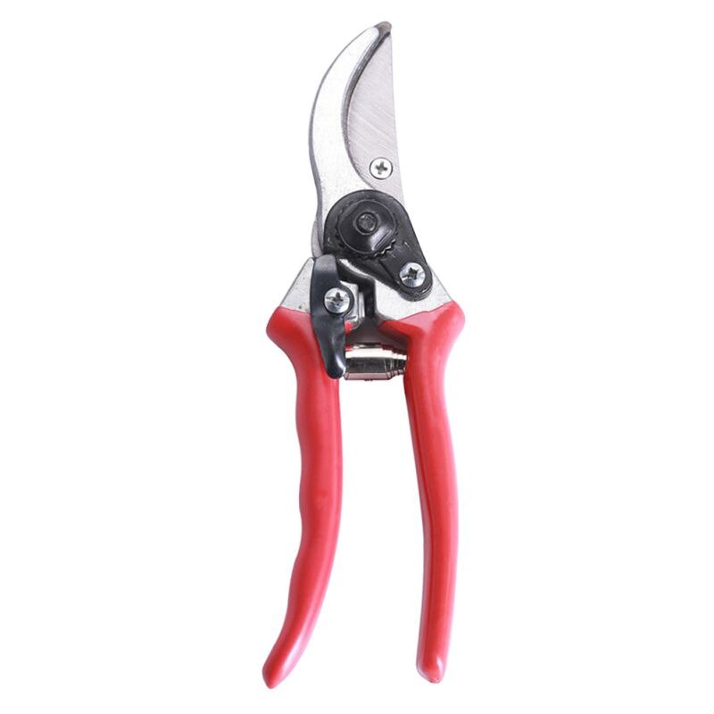 Takken Schaar Snoeien Schaar Tuin Snoeischaar Fruit Boom Dikke Tak Tuinieren Potplanten Snoeien Sterke Handvat Gereedschap: Default Title