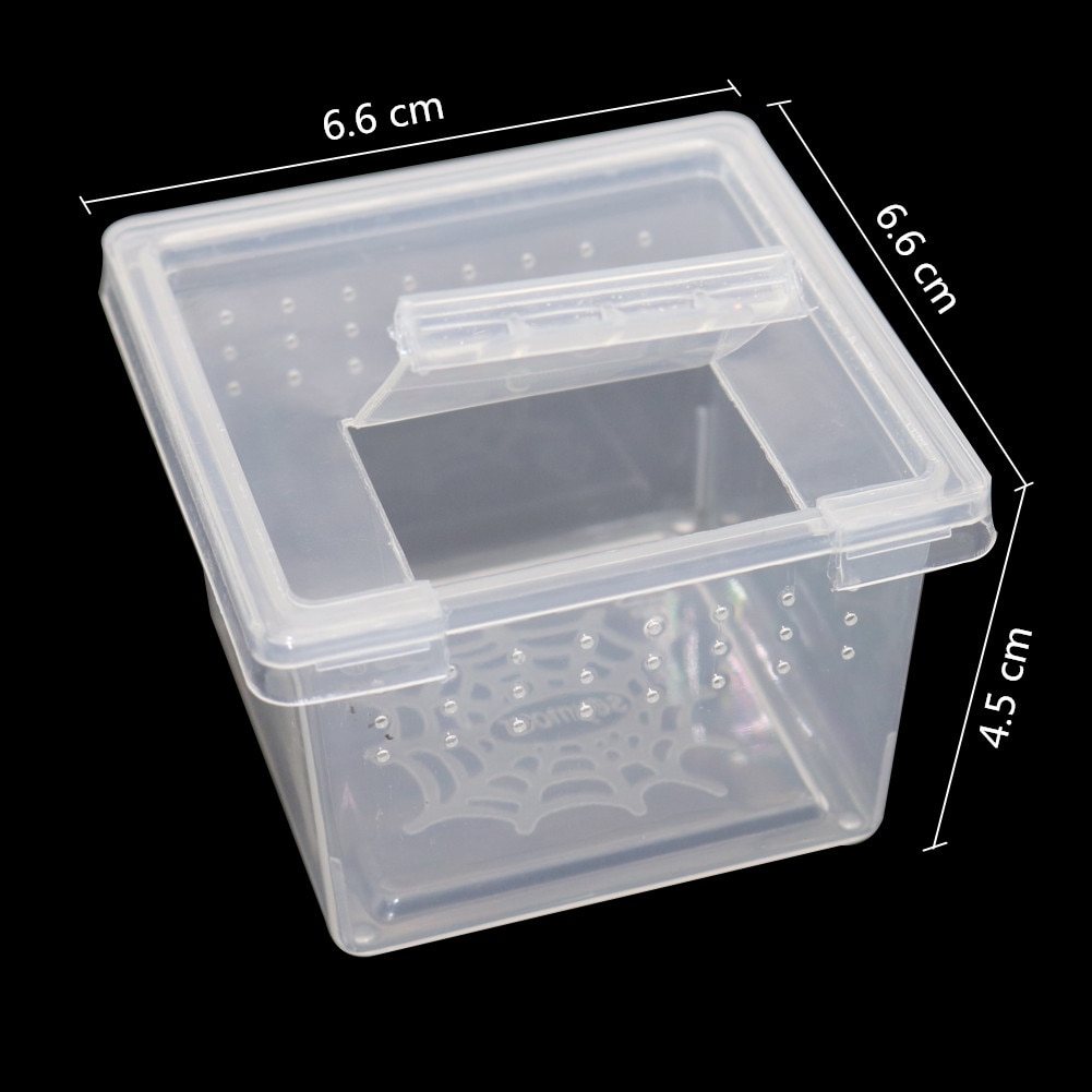 Caja de plástico transparente para criar reptiles, contenedor para cultivar insectos, araña Escorpión, 10 unidades