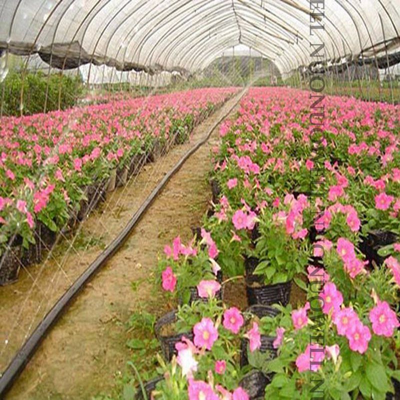 5~50M 0~7Holes 1.5" Φ40mm Thin-Soft Spray Tape Lawn Watering Hose Farm Greenhouse Irrigation Soft Pipe Sprinkler Flex Tube Line