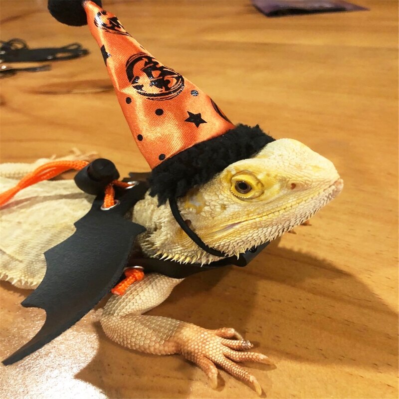 Lizard Halloween Costume Set Adjustable Leather Harness with Wing Leash &amp; Hat