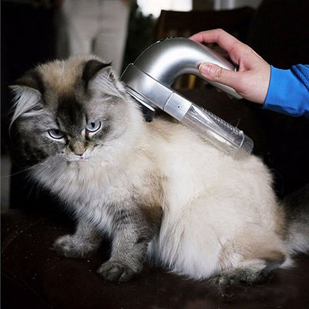 Salg ！！ kattehund kæledyr elektrisk hårfjerner fjerner grooming børste kamrenser trimmer