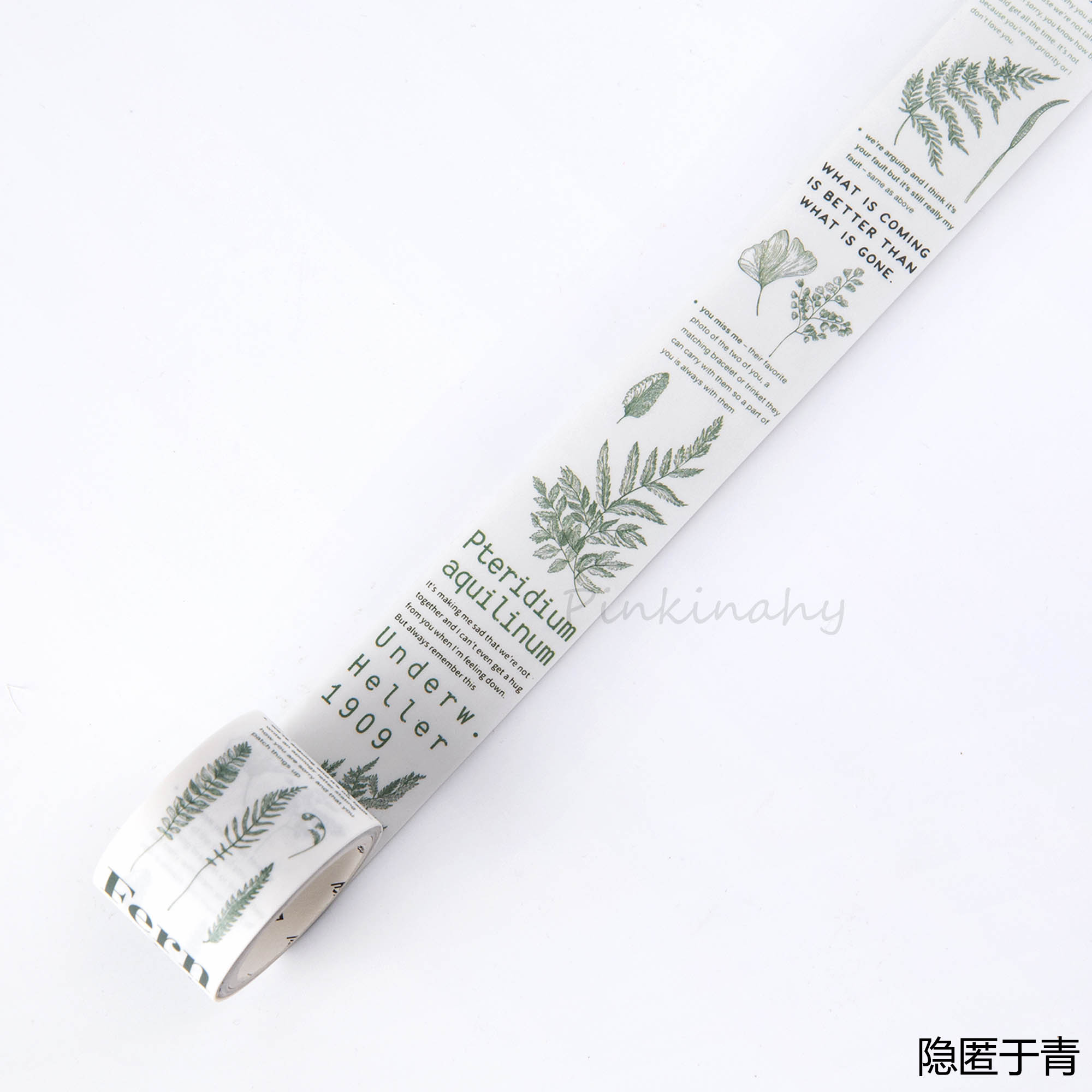 Vintage ormbunkeväxter samling bullet journal washi tejp självhäftande tejp gör-det-själv scrapbooking klistermärke etikett japansk maskeringstejp: 4