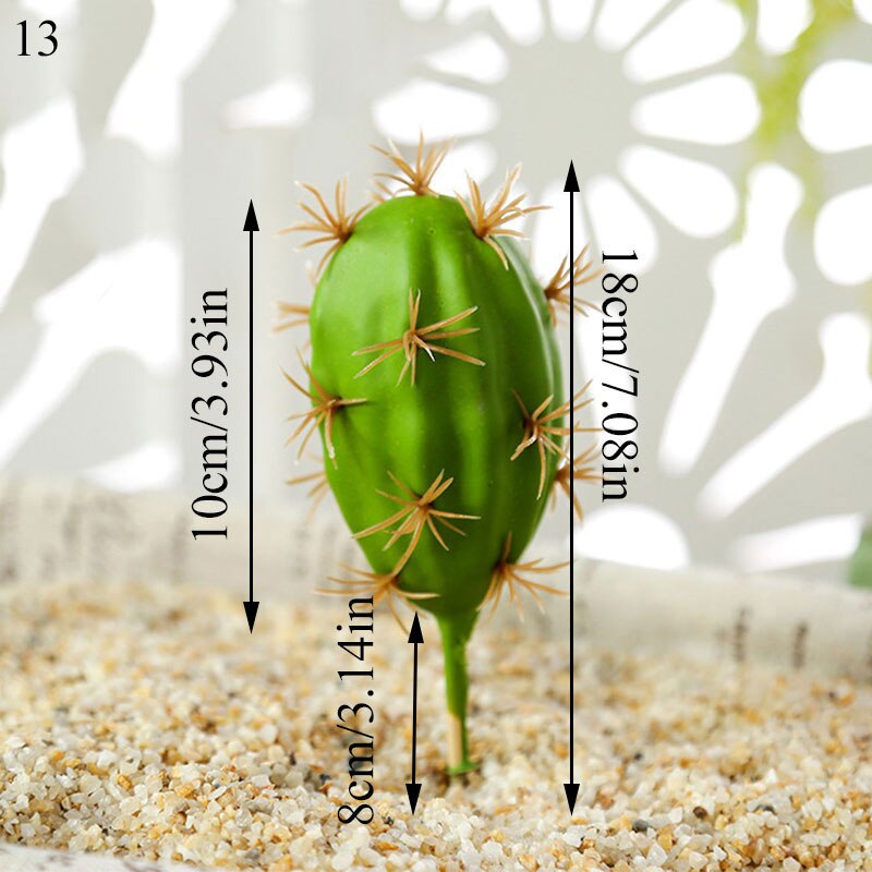 Graines de graines pour Aquarium, plante aquatique, graines faciles, Aquarium, aménagement paysager: 13