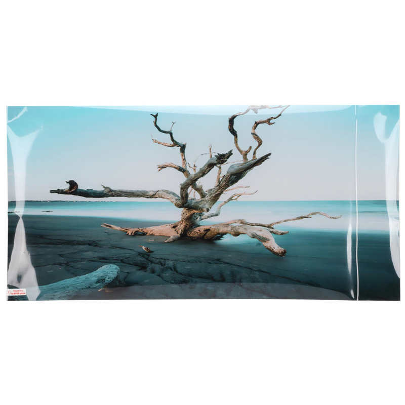 Aquarium Background Decor High Transparency Aquarium Poster for Aquarium: 61 x 41cm