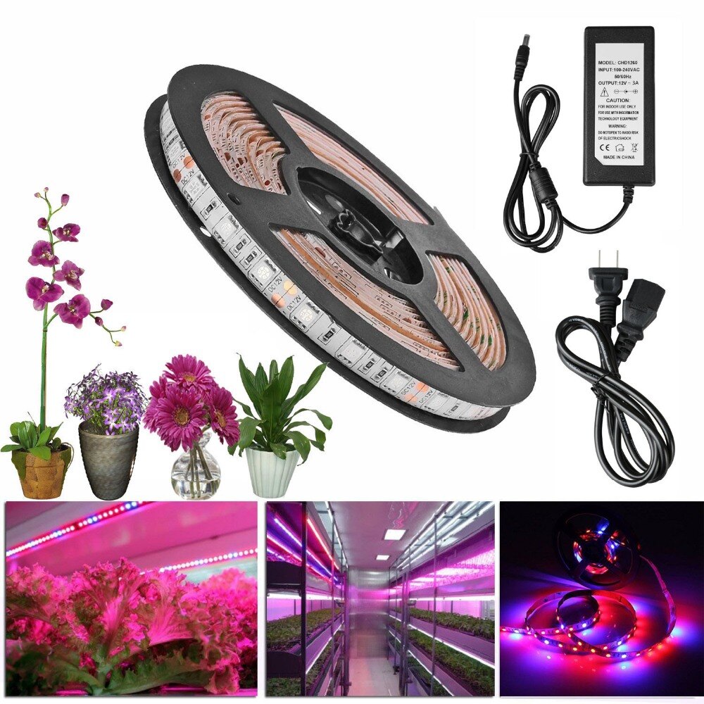 5m LED Plant Grow Lights 5050 LED Flexible Strip 12V Red Blue 3:1 4:1 5:1 power supply Greenhouse Hydroponic Plant Growing lamp