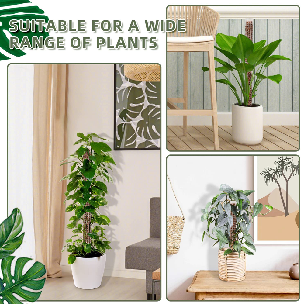 Palo de escalada para plantas, soporte de plantas, Marco enrejado, columna de musgo Sphagnum de agua, poste para vides de flores en maceta, extensión de escalada