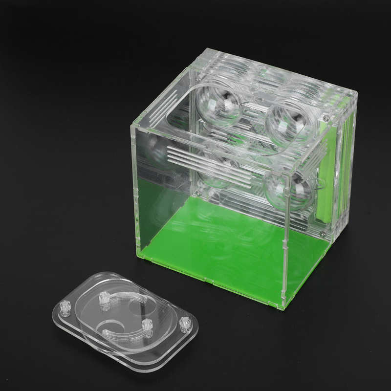 Insect box Insects Box Transparent Acrylic Ant Breeding Box Watching Feeding Moisturizing Pet Ants Case C Type Reptiles