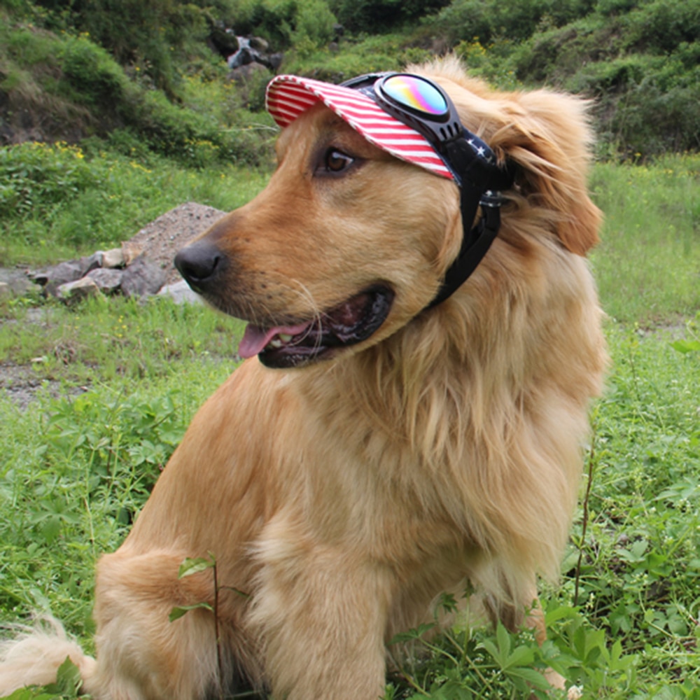 Hond Verstelbare UV Zonnebril Zwart Eye-wear Kostuum Opvouwbare Zon-slip Goggles Gromming Product 'S Props Accessoires