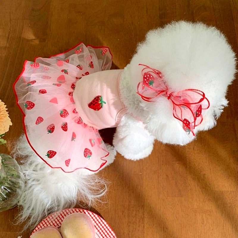 Vestido de verano para perros, ropa para cachorros, falda de princesa Margarita bonita, disfraz refrescante para perros Chihuahua Bichon, ropa para mascotas, vestidos para perros y gatos: S / Blanco