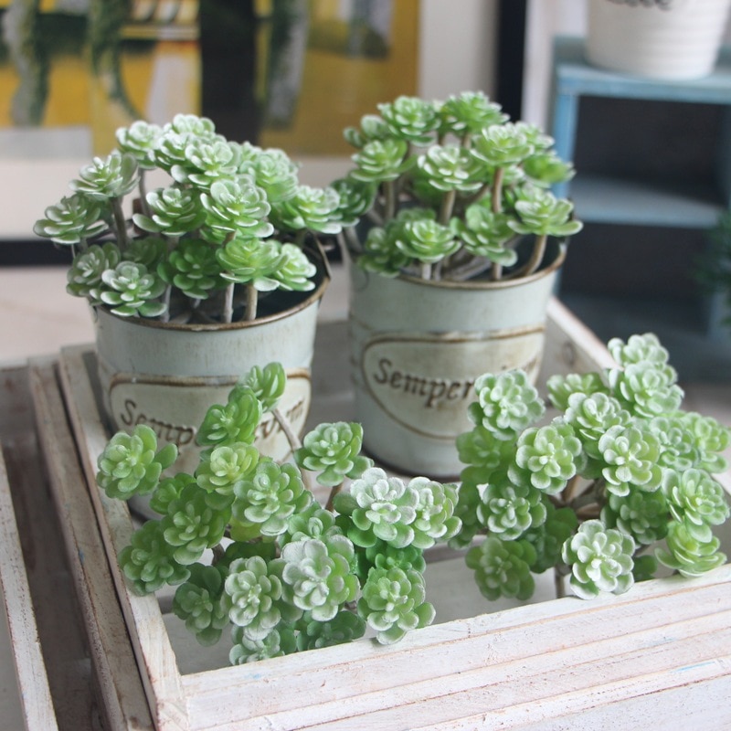Vlezige Tuin Plant Groene Mini Kantoor Kunstmatige Decor Prachtige kunstmatige vetplanten kunstmatige ingemaakte bloemen