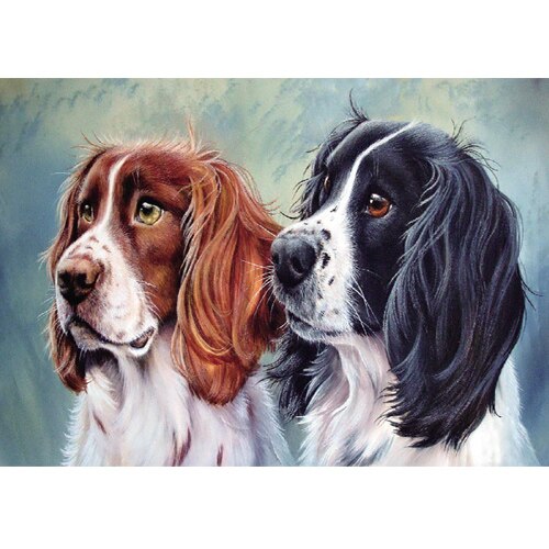 Cuadros DIY pinturas por números perro DIY pintura al óleo en lienzo decoración del hogar arte de la pared: RA3187