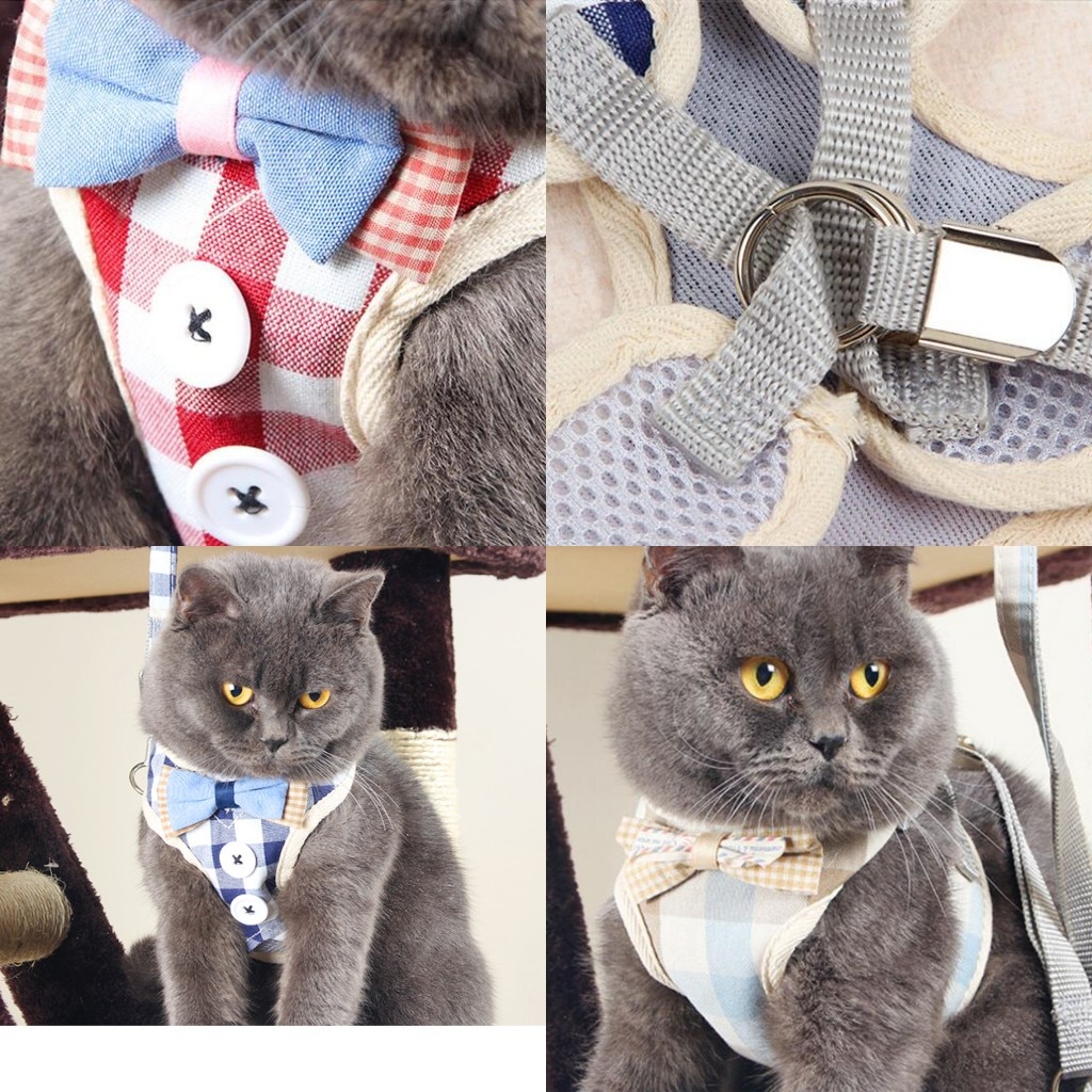 Breathable Dog Cat Harness Pet Mesh Puppy Kitten Vest Adjustable Pet Walking Harnesses and Leash Set For Chihuahua Small Dogs