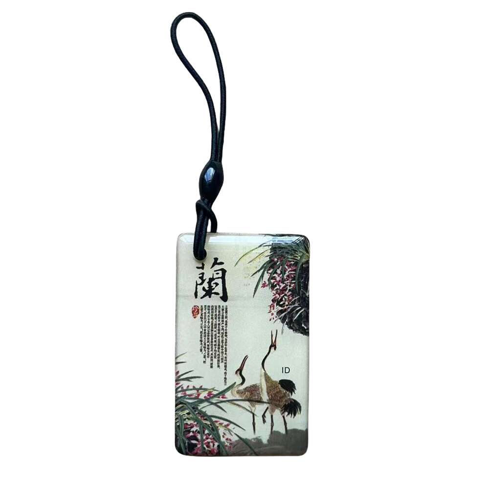 Porte-clés RFID réinscriptible, étiquette RFID, copie d'accès, carte de données vierge, anneau de jeton d'identification, porte-clés, contrôle d'accès ClhbKeychain, 125 tiens z, T5577, EM4305, 1PC: Fluorescéine