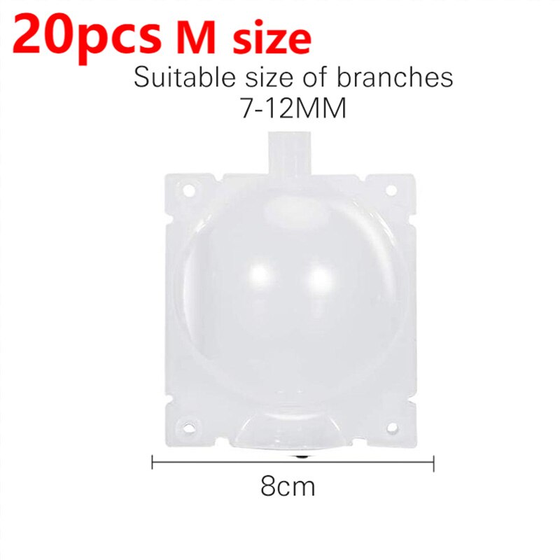 20pcs Reusable Plant Rooting Equipment Kit Cutting Grafting Rooting Box Tree Pressure Branch Rooting Propagator Breeding Ball: 20pcs M transparent