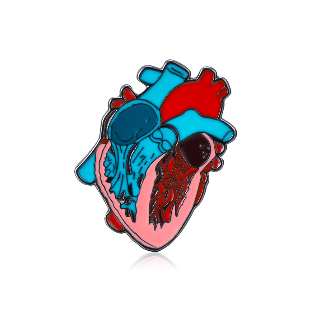 Hanreshe émail orgue broches broches anatomie médicale rein cerveau coeur crâne Badges médecine bijoux pour médecin infirmière: Imitation plaquée rhodium