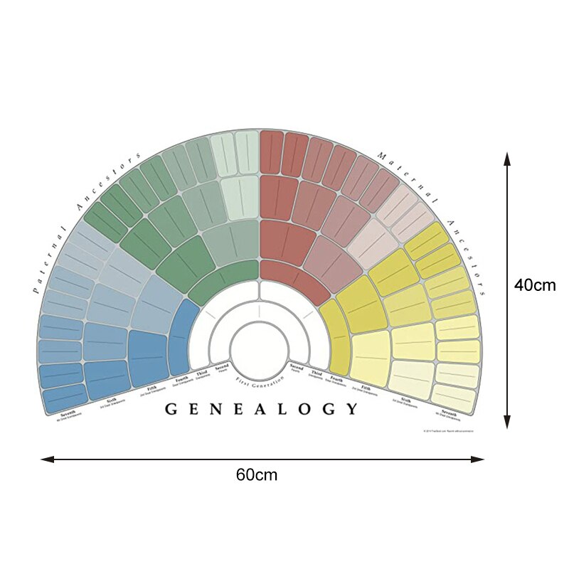 Släktträdsschema för att fylla  in 5/6/7 generations släktforskningsaffisch tomt fyllbart förfäder diagram  tn99: F