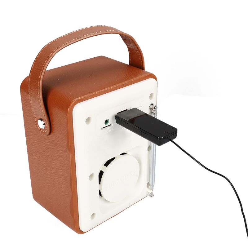 Dab digital radiomodtager med antenne til bluetooth højttaler hjemme stereo tv med usb read disk funktion tilbehør