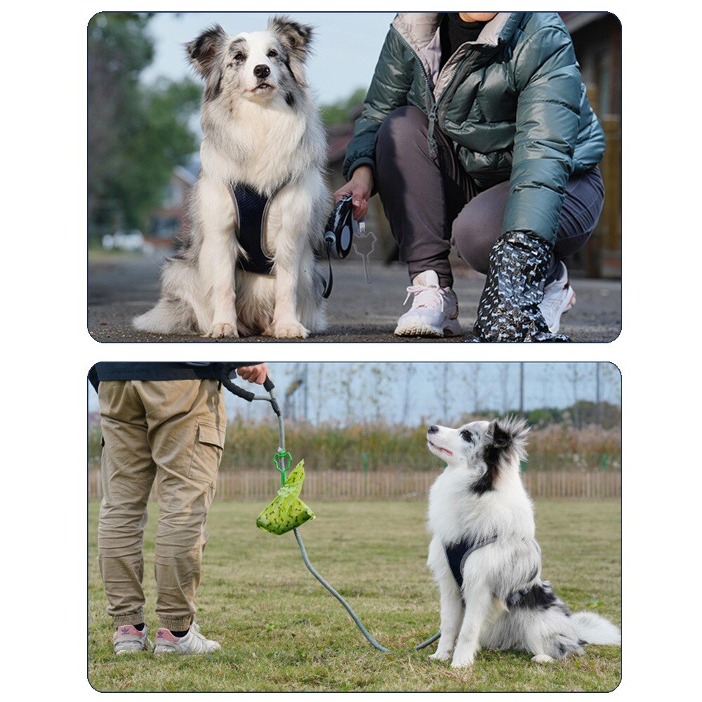 Dispensador de bolsas de basura para perros, accesorios de suministro de mascotas, dispensador de correa, Herramientas de limpieza, soporte de Bolsa para popó, manos libres