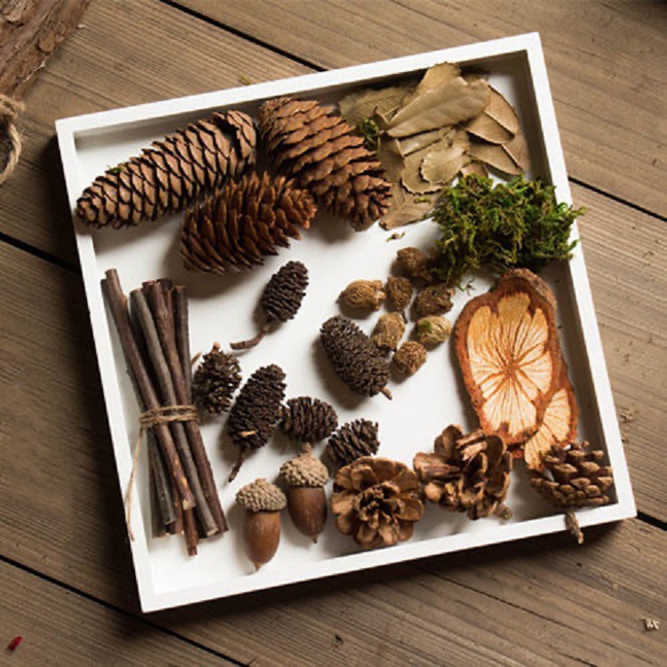 Photography photo props decoration diy retro forest decoration set cosmetic decorations with background