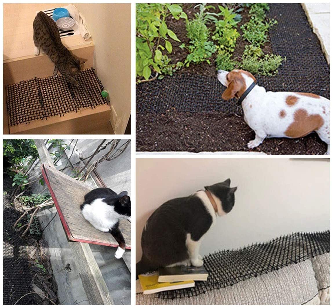 Red antigatos de 2M para jardín, Malla Protectora multifunción, PP, para prevenir espinas de gato, para plantas de jardín