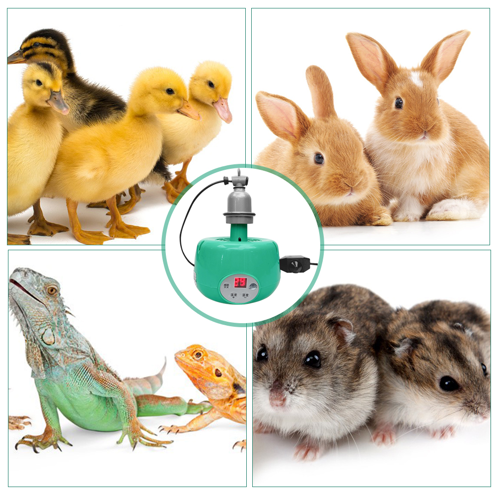 Lampe chauffante pour ferme, 100-300W, E27, 220V, lumière chaude pour cochon, poulet, canard, incubateur, contrôleur de température, fournitures chauffantes