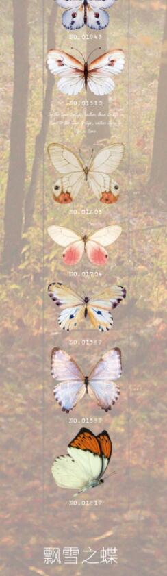 Vlinder Collector Series Leuke Dromerige Washi Masking Tape Stickers Bloem Scrapbooking Briefpapier Decoratieve Lange Strip Tape: 7