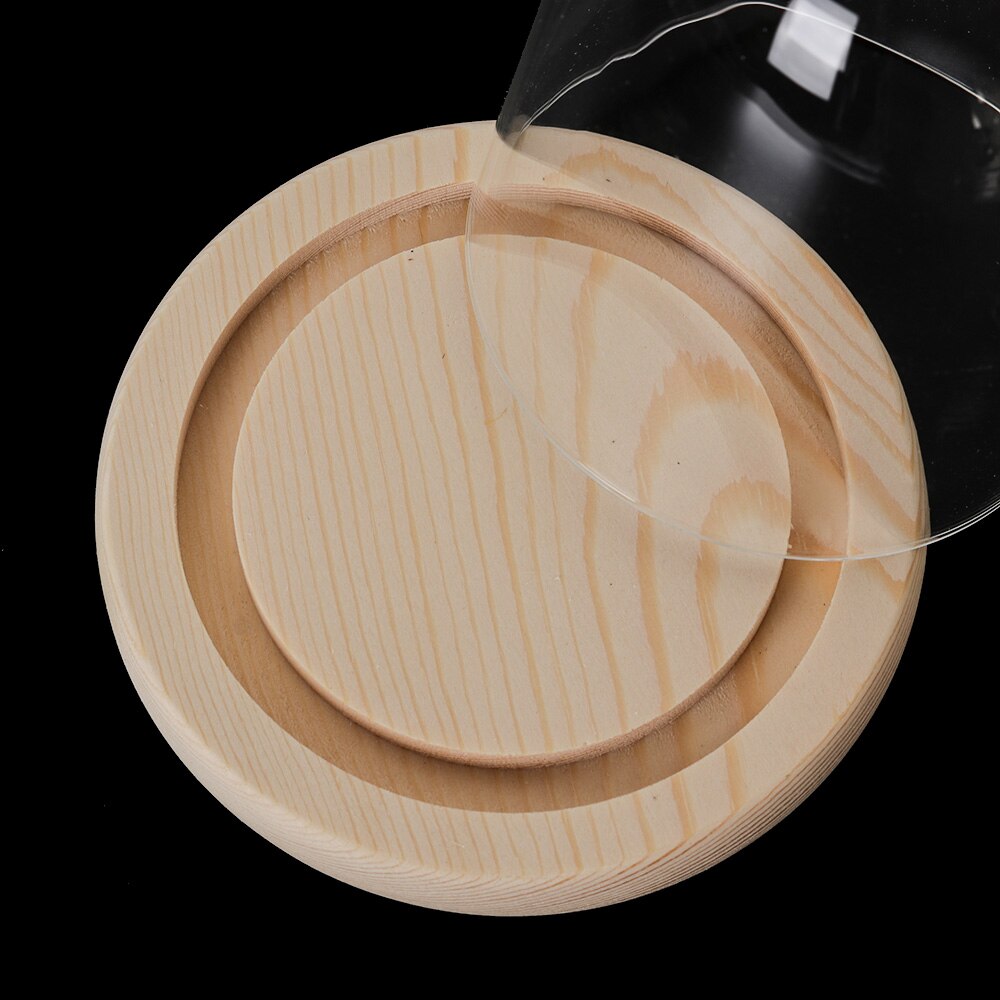 1 florero de vidrio cubierta de polvo Base de madera caja de almacenamiento de flores plantas de terrario botella transparente luces de hadas tarro hogar manualidades decorativas