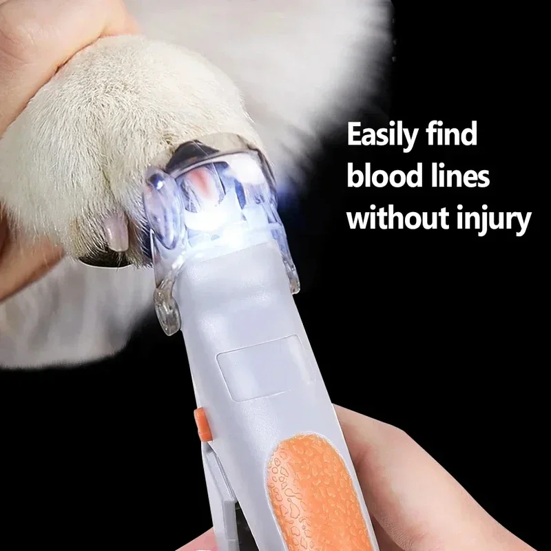 Ciseaux professionnels pour coupe-ongles pour animaux de compagnie, avec lumière LED, pour chat et chien, outil, ciseaux pour couper les griffes des orteils, fournitures pour animaux de compagnie