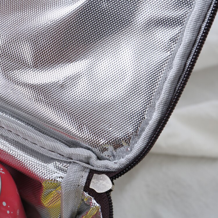 4L portable cooler bag thermal picnic lunch box food drinks cans insulated carrier shoulder cool bag ice pack meal fresh bag