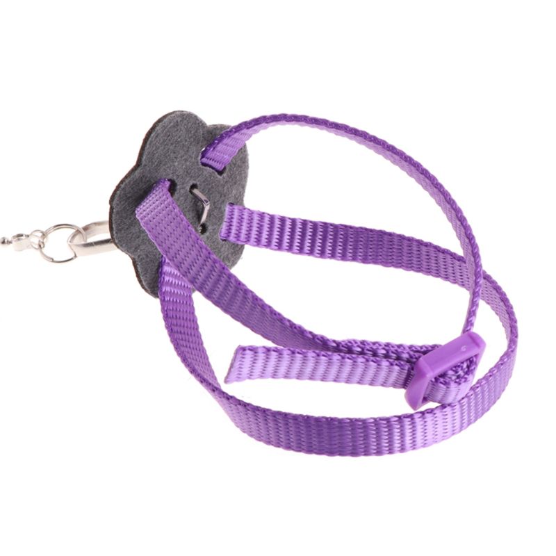 Laisse de harnais d'oiseau de perroquet pour animaux de compagnie corde d'entraînement réglable extérieure sangle de Traction Anti-vol bande souple Portable directe