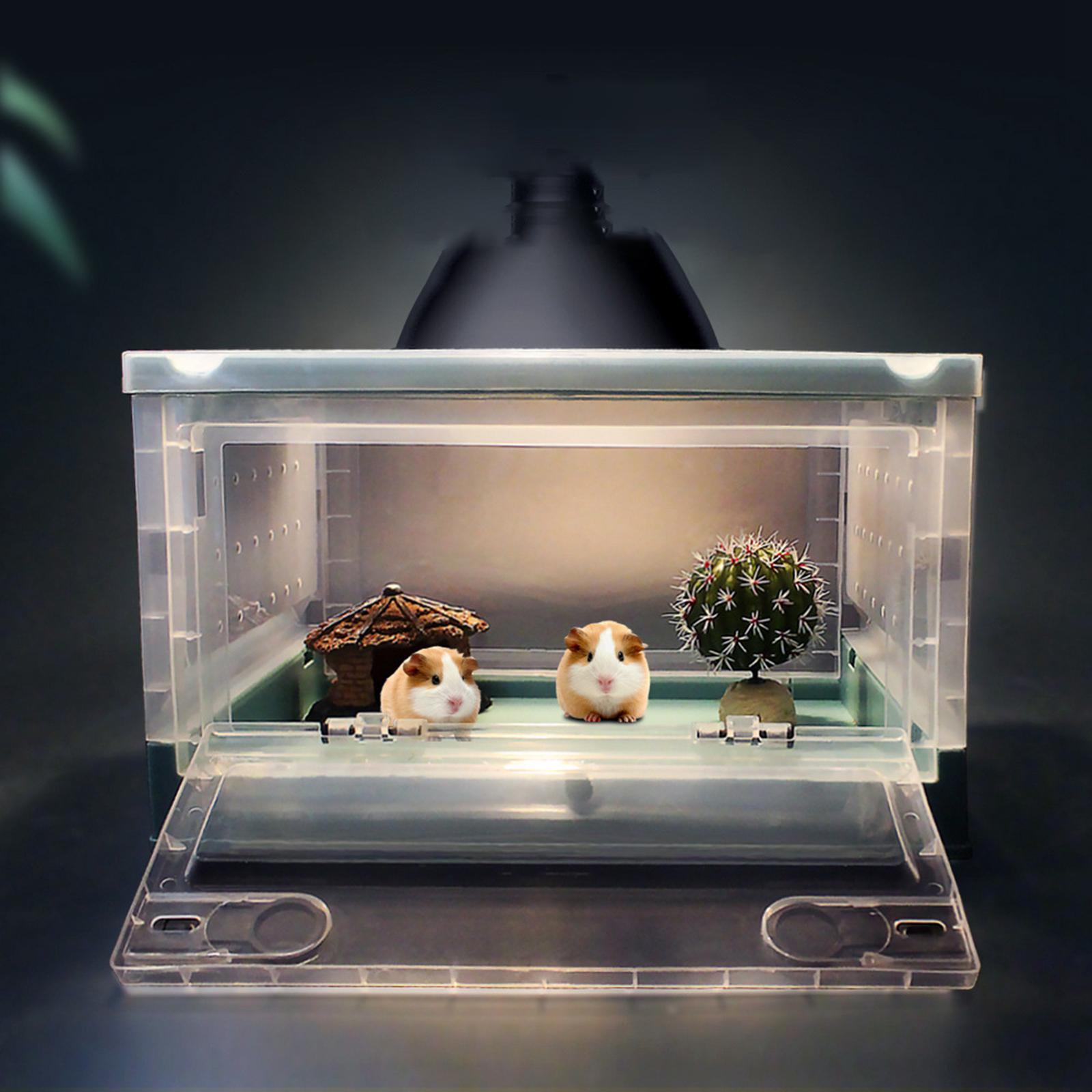 Boîte d&#39;alimentation pliable pour reptiles, pour Hamster, animaux de compagnie, Terrarium, réservoir de Transport pour souris, serpent, lézard, petits animaux, Rat: Blue