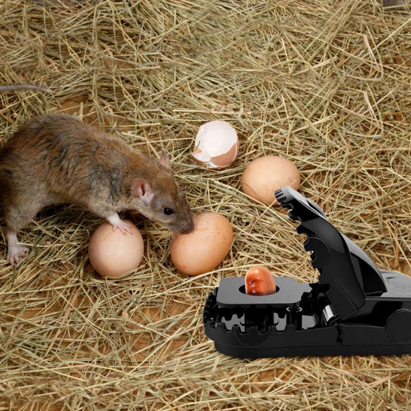 5/4/3/2/1Pack pièges à souris qui fonctionnent, pièges à souris puissants, piège à pression pour souris, pince à Rat pour souris sensible (durable-noir)