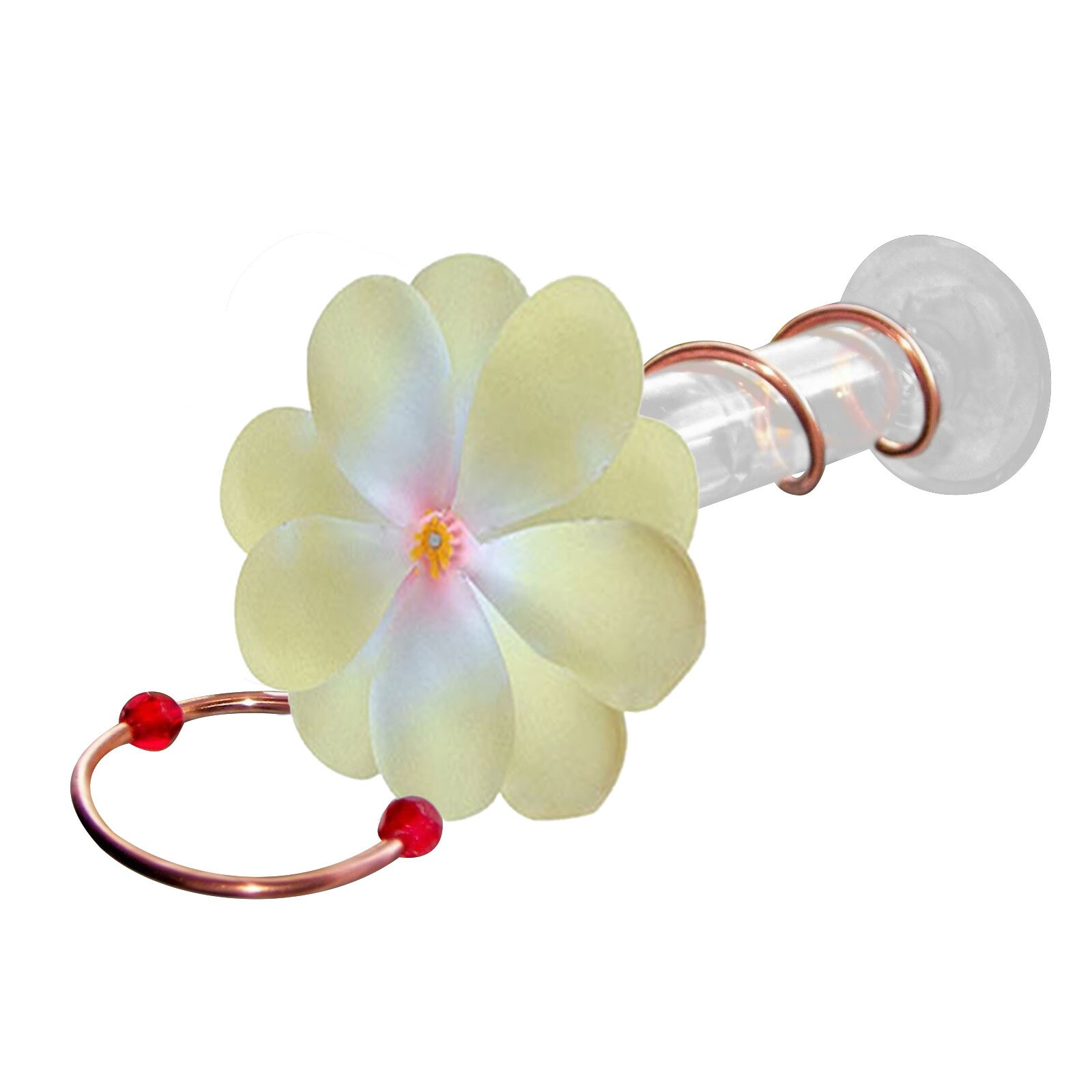 Courtyard Bird Feeder Red Berries Humming Bird Feeder 3 Feeding Bottles Berries Humming Bird Feed Seed Accessories: F