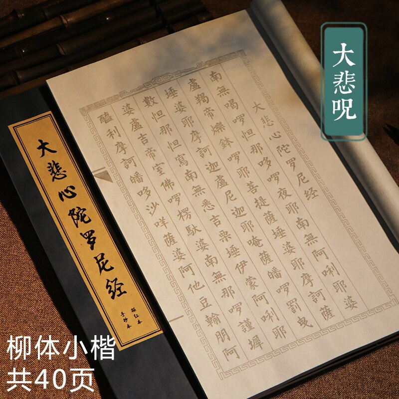 Classical Chinese Character Calligraphy Copybook Soft Brush Calligraphie Book Beginner Chinese Calligraphy Practice Copybooks: E