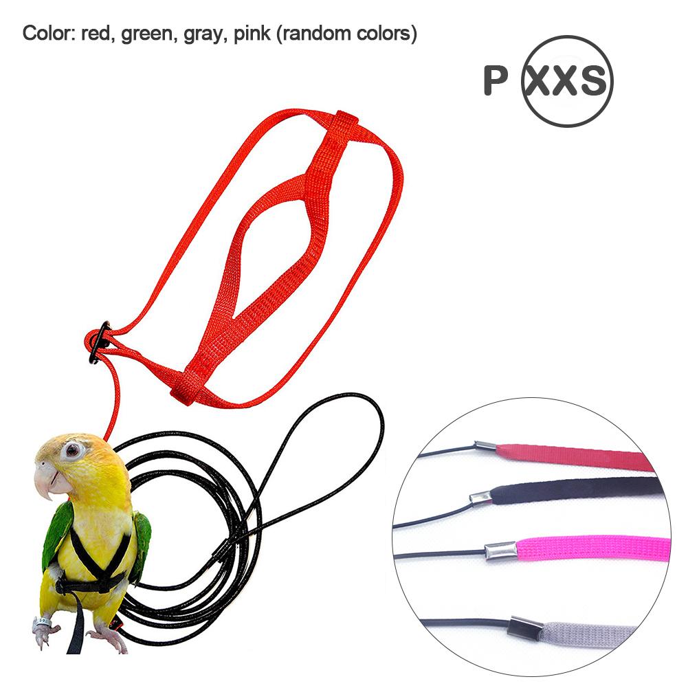 Tren de aves para mascotas, Correa colorida para loros y pájaros, arnés ajustable para exteriores, cuerda de entrenamiento, banda cruzada voladora, productos para mascotas, suministros para aves: XXS